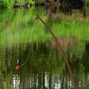 Fishing For The Trophy